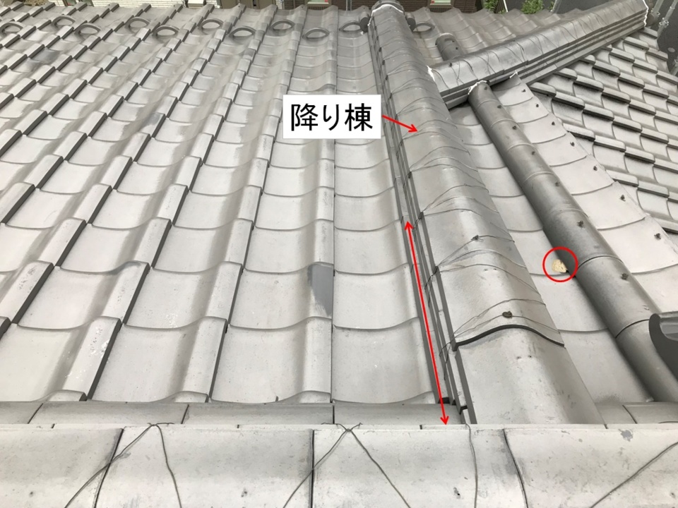 現場調査　６