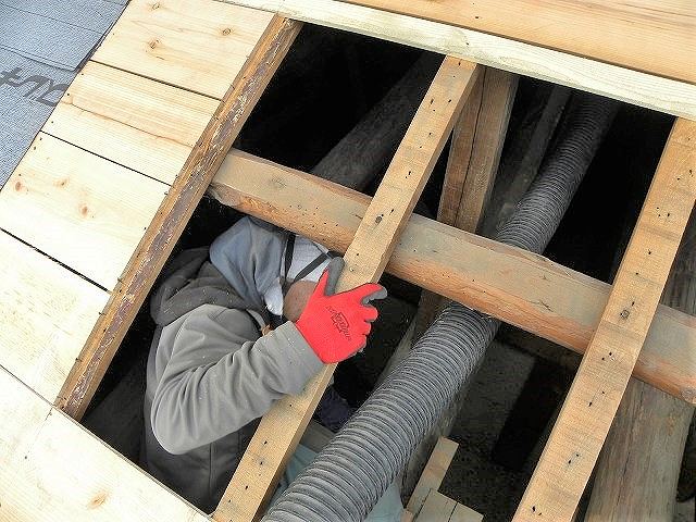 屋根裏の掃除