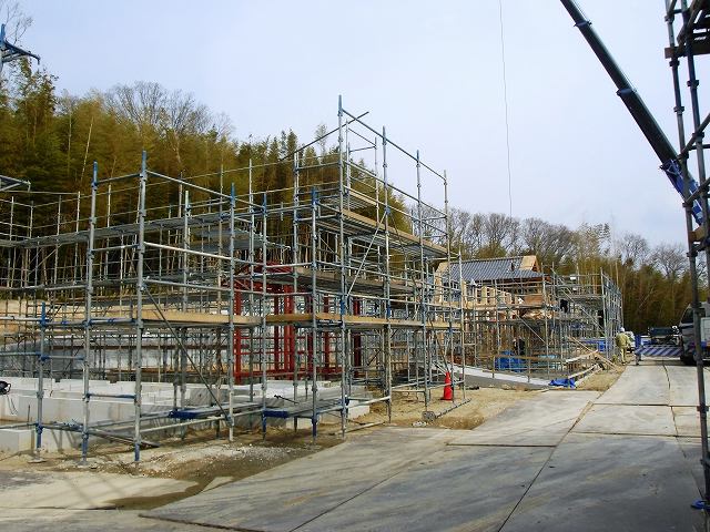 本堂の建て方が始まりました