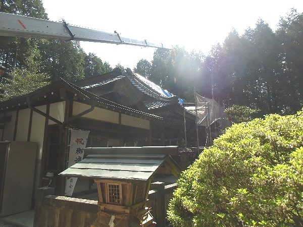 クレーンにて屋根材の撤去