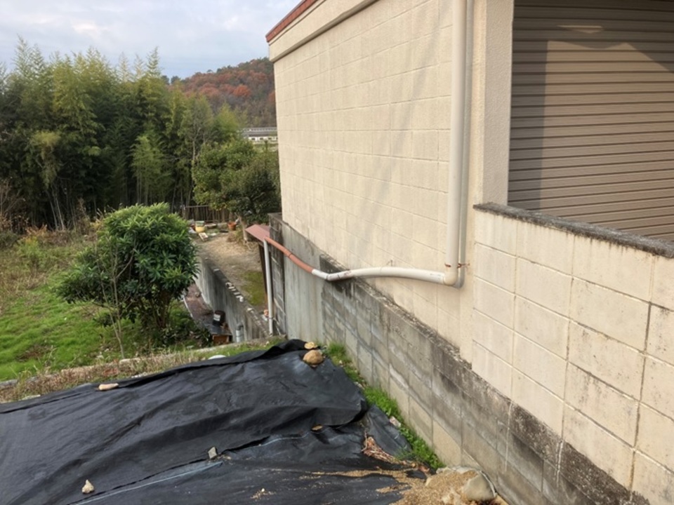 現場調査　１２