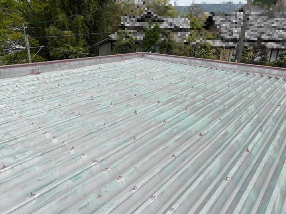 現場調査　７