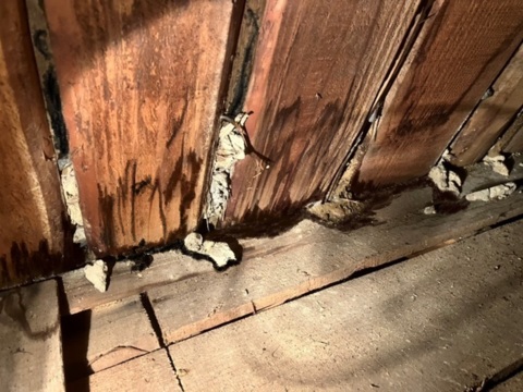 雨漏りレスキュー日誌