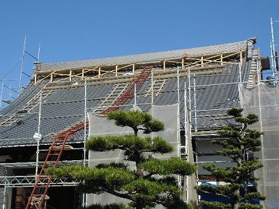 大棟が積み終わりました
