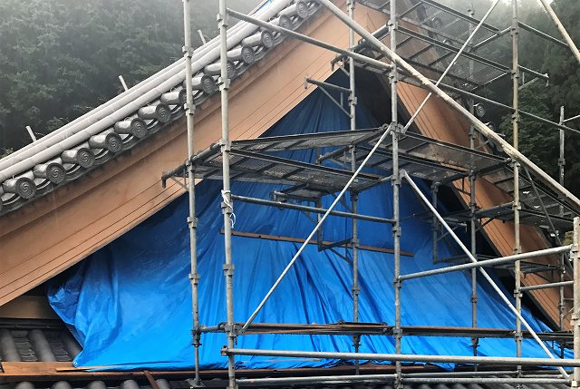 台風養生
