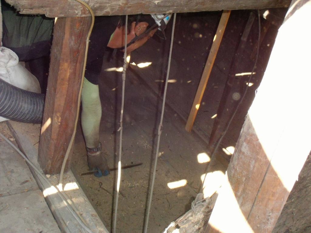 屋根裏の掃除